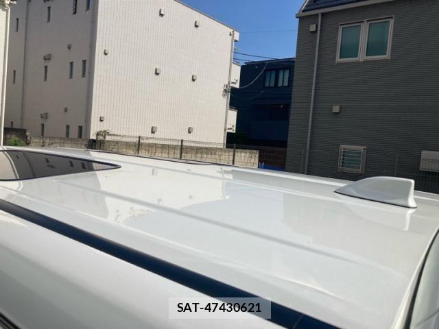 Toyota ALPHARD 2024-01 7499304-6
