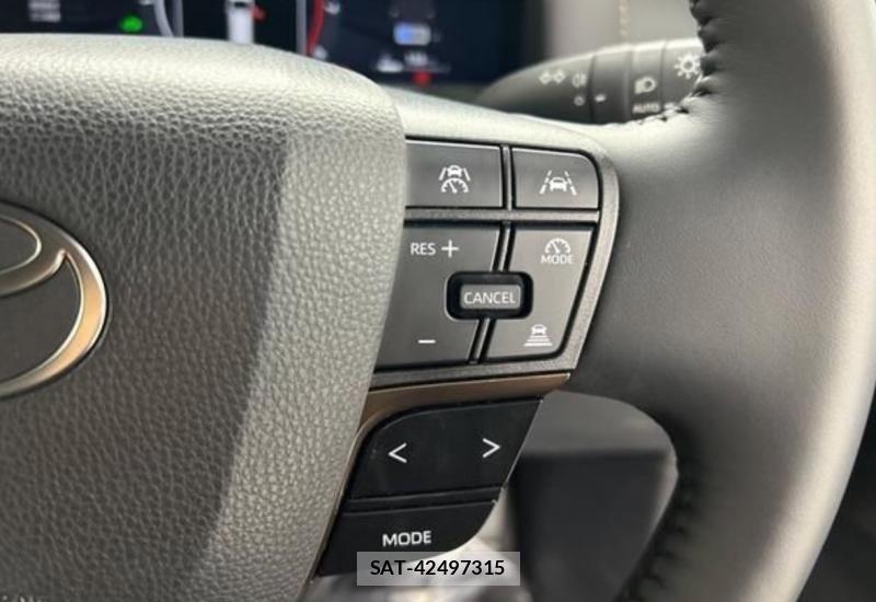 Toyota ALPHARD 2025 7024094-10
