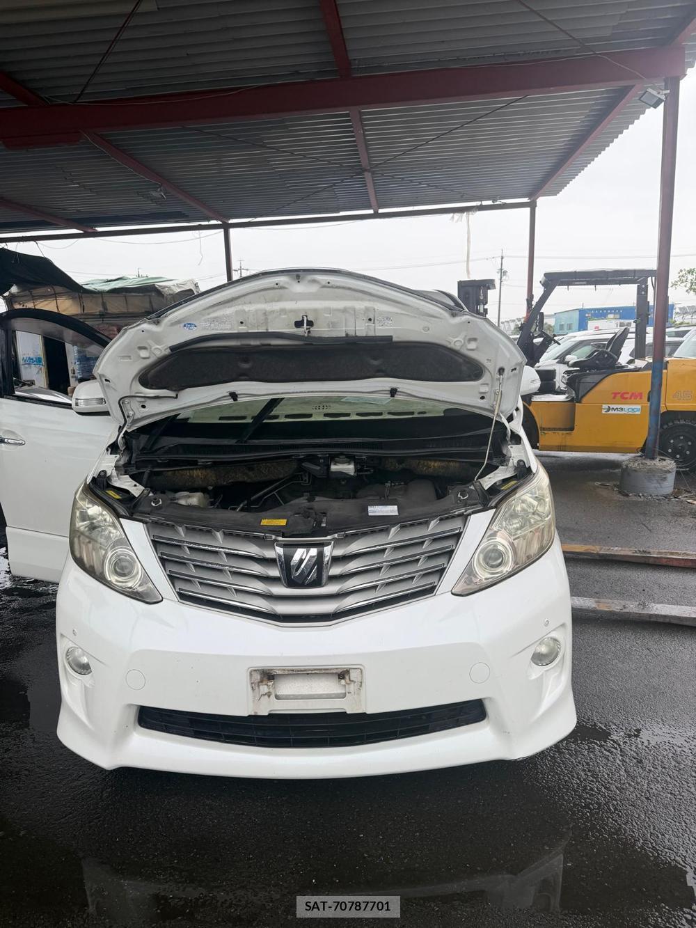 Toyota ALPHARD 2010 7013725-25