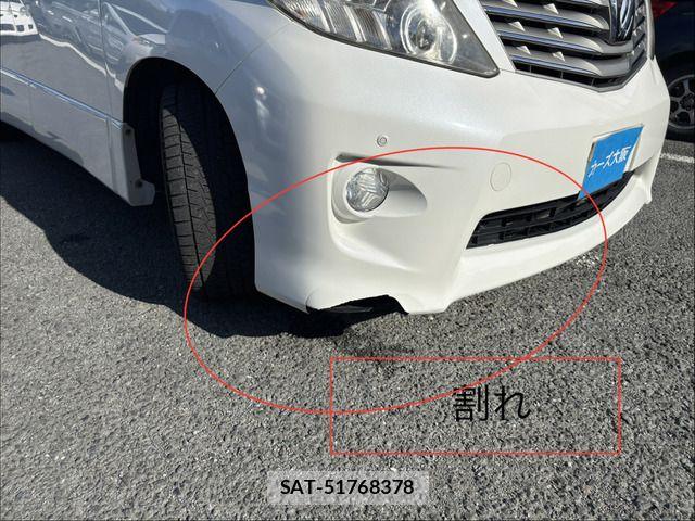 Toyota ALPHARD 2010-11 7875132-10