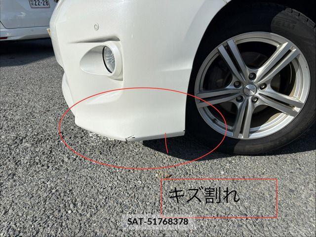Toyota ALPHARD 2010-11 7875132-12