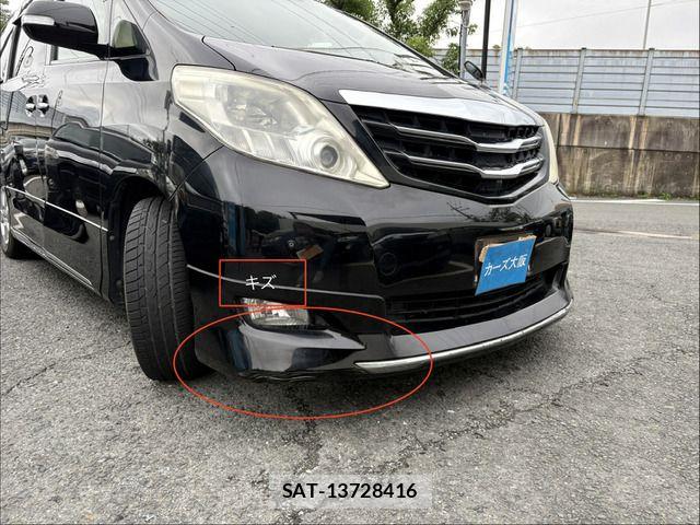 Toyota ALPHARD 2009-11 7960381-10