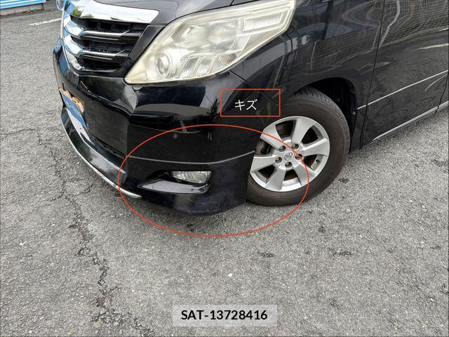 Toyota ALPHARD 2009-11 7960381-11