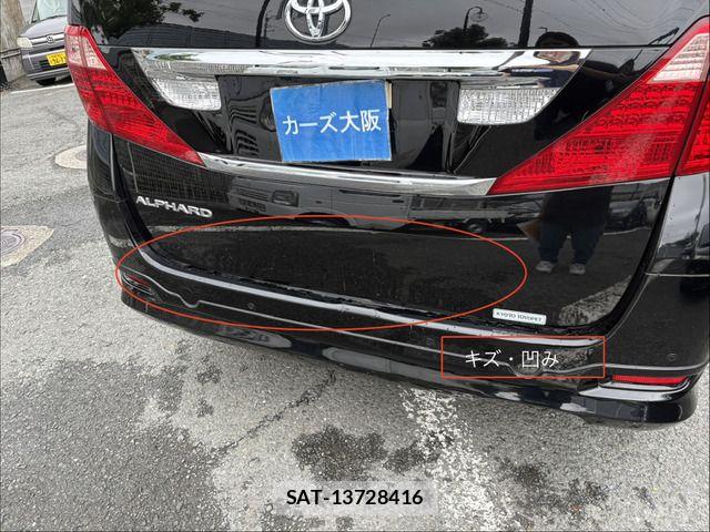 Toyota ALPHARD 2009-11 7960381-15