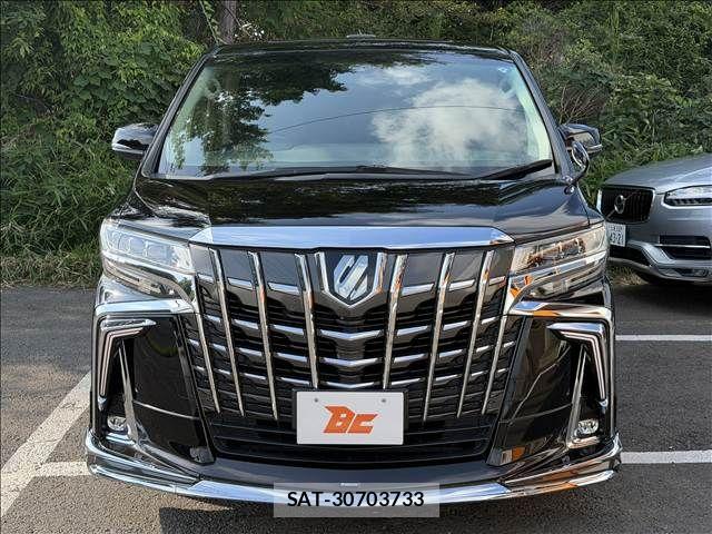 Toyota ALPHARD 2021-06 8034228-20