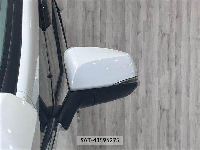 Toyota ALPHARD 2019-10 8034234-29