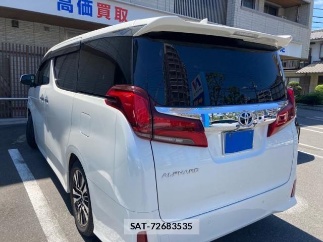 Toyota ALPHARD 2019-01 8034231-3