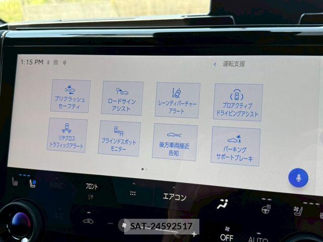 Toyota ALPHARD 2024-12 8034219-12