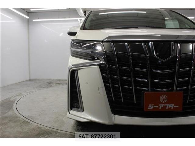 Toyota ALPHARD 2021-02 8034241-10