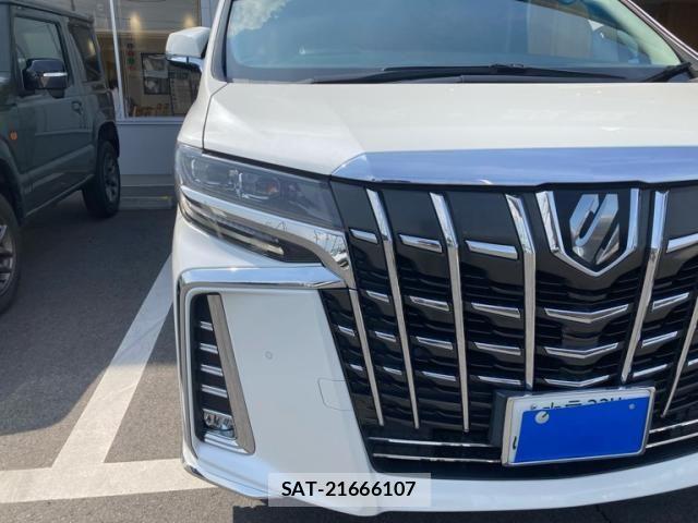 Toyota ALPHARD 2020-03 8072576-4