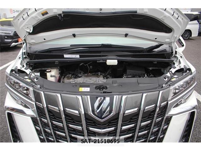 Toyota ALPHARD 2020-05 8097766-29