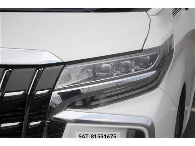 Toyota ALPHARD 2019-04 8097802-20