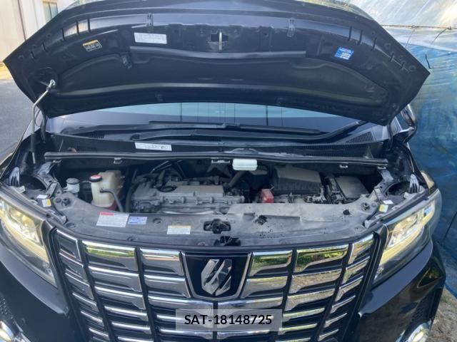 Toyota ALPHARD 2016-06 8097804-21