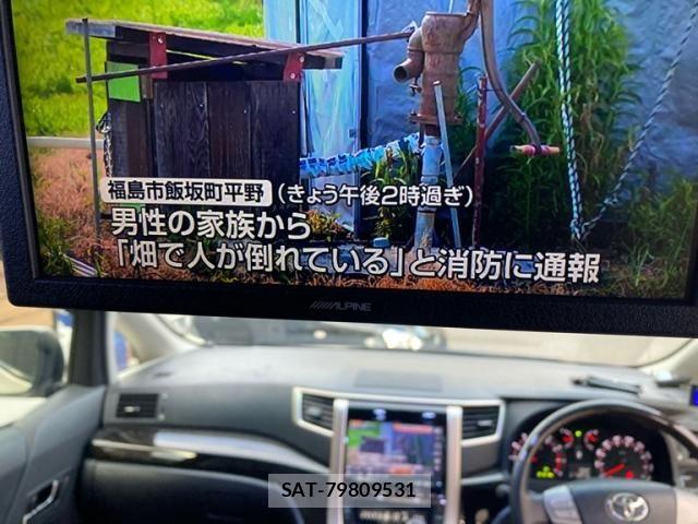 Toyota ALPHARD 2013-05 8097816-17