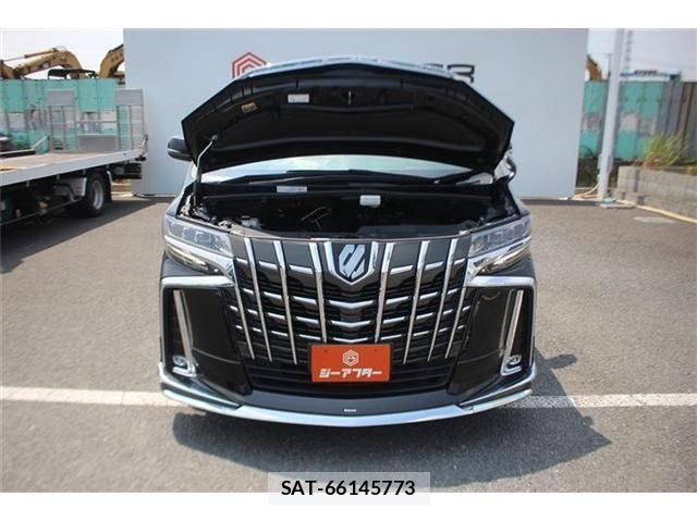 Toyota ALPHARD 2021-06 8157871-29