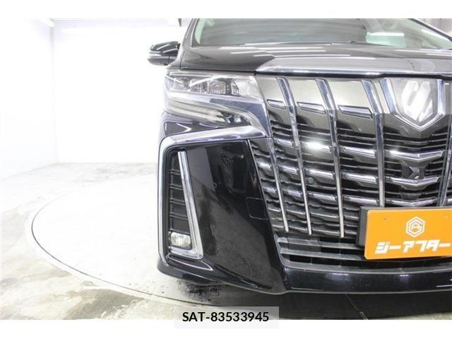 Toyota ALPHARD 2018-09 8206123-10