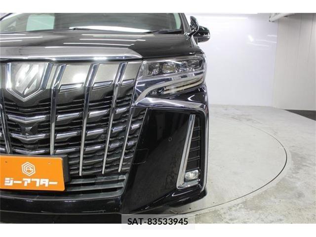 Toyota ALPHARD 2018-09 8206123-13