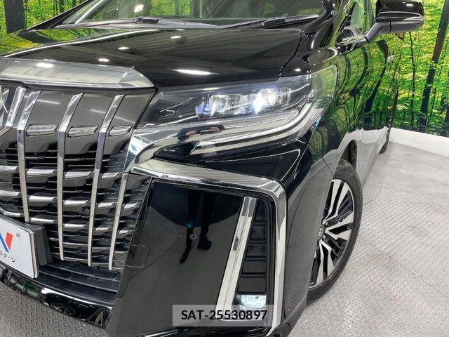 Toyota ALPHARD 2019-11 8206096-13