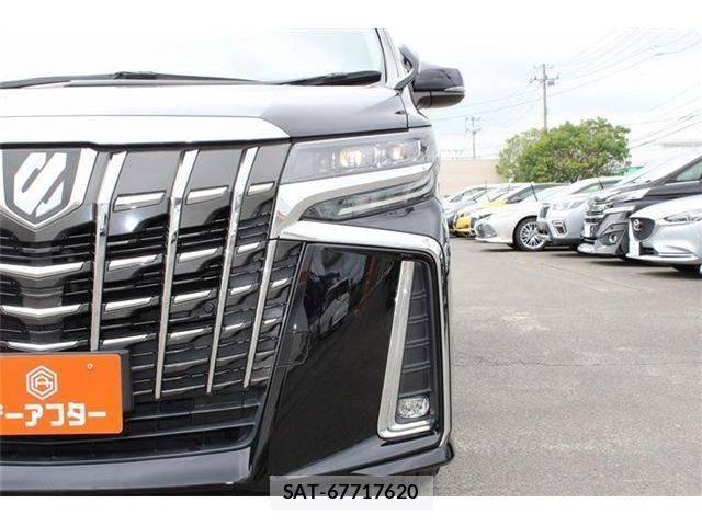 Toyota ALPHARD 2020-11 8228759-8