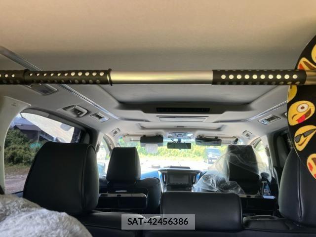 Toyota ALPHARD 2017-08 8228768-13