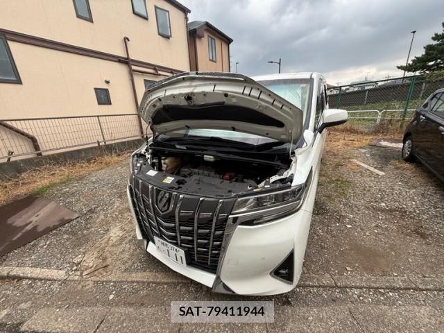 Toyota ALPHARD 2018-08 8244506-1