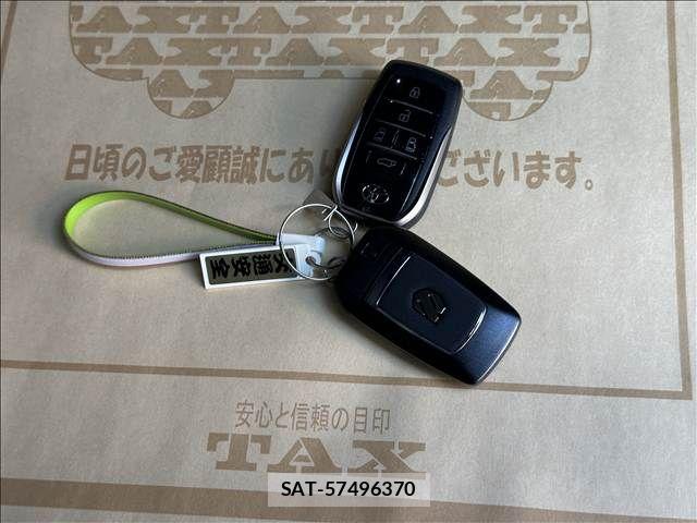 Toyota ALPHARD 2024-06 8244477-18