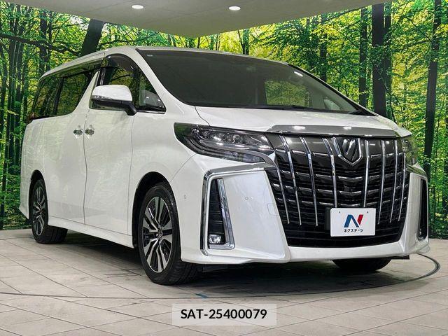 Toyota ALPHARD 2020-12 8334631-16