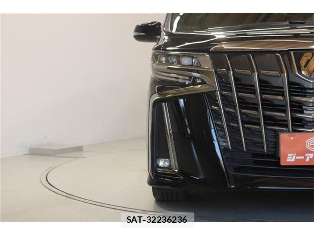 Toyota ALPHARD 2021-02 8334656-17