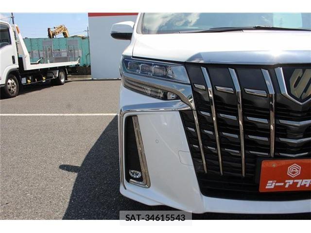 Toyota ALPHARD 2020-11 8364516-12