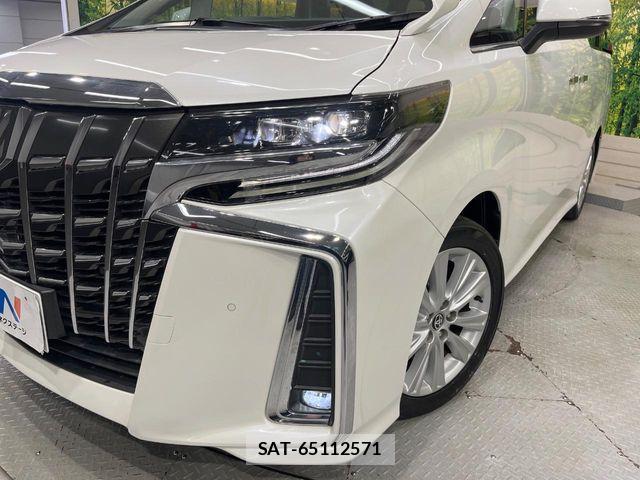 Toyota ALPHARD 2019-11 8523331-12