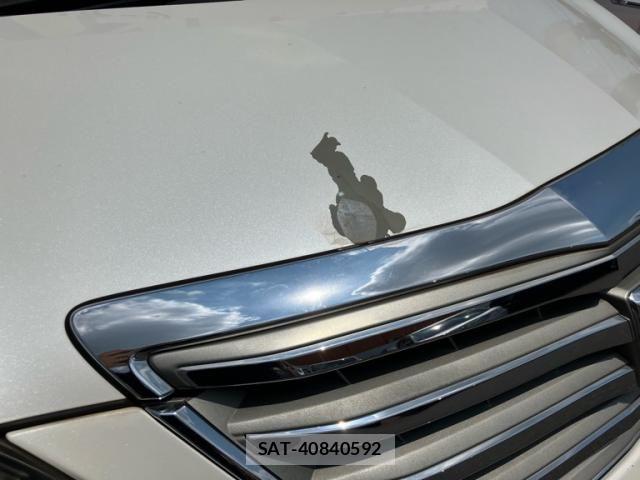 Toyota ALPHARD 2012-07 8561042-25