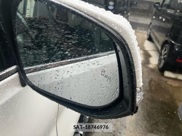 Toyota ALPHARD 2020-03 8657798-13