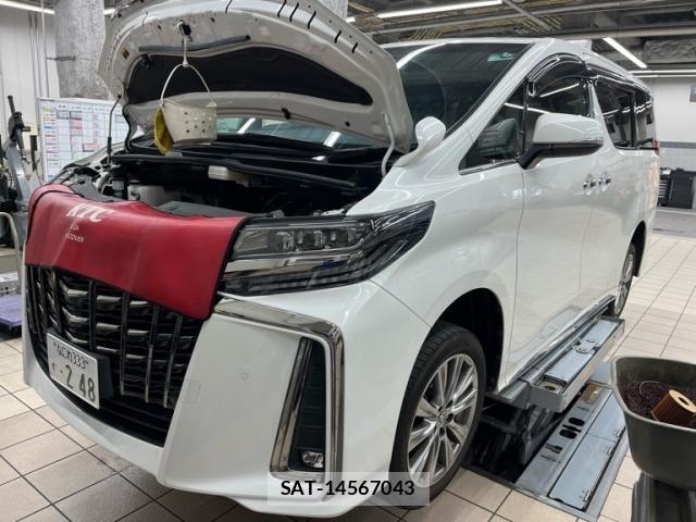 Toyota ALPHARD 2021-11 8665757-1