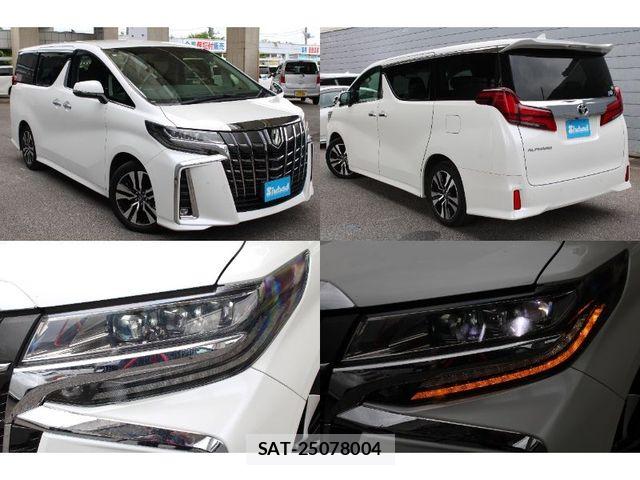 Toyota ALPHARD 2019-03 8685095-29