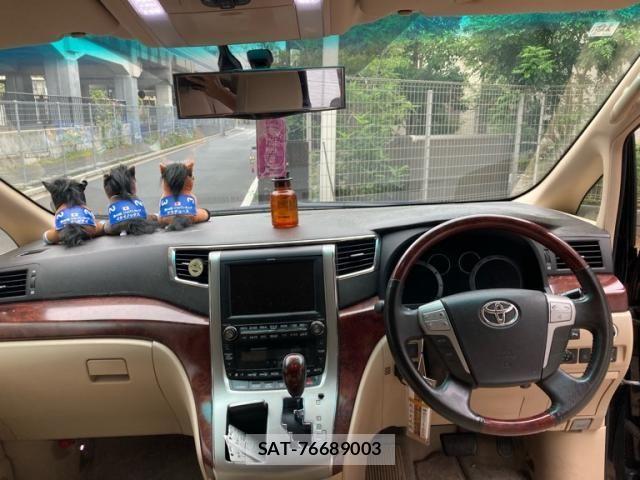 Toyota ALPHARD 2008-10 8740206-9