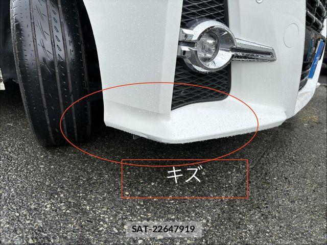 Toyota ALPHARD 2015-12 8795164-10