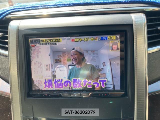 Toyota ALPHARD 2013-10 8795170-21