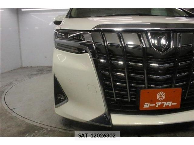 Toyota ALPHARD 2019-12 8795162-12