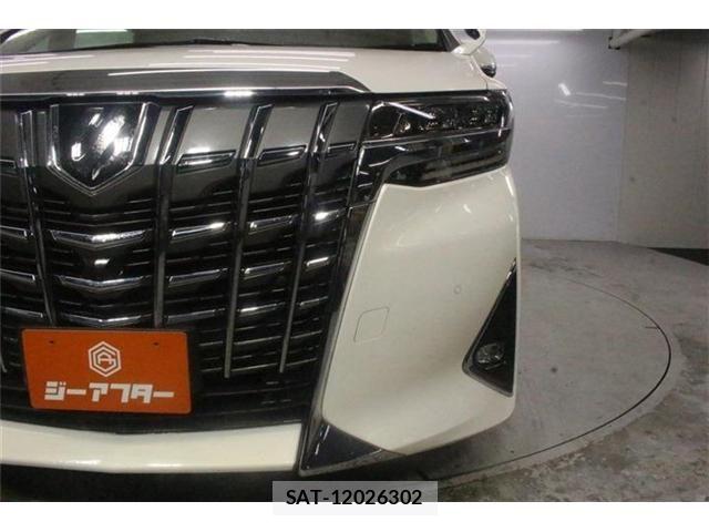 Toyota ALPHARD 2019-12 8795162-15