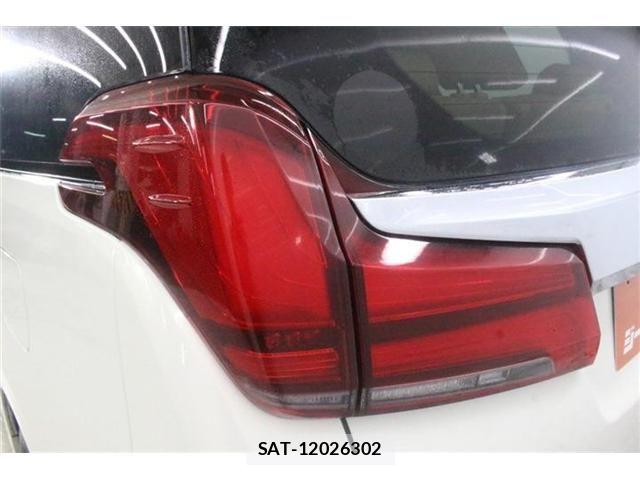Toyota ALPHARD 2019-12 8795162-19