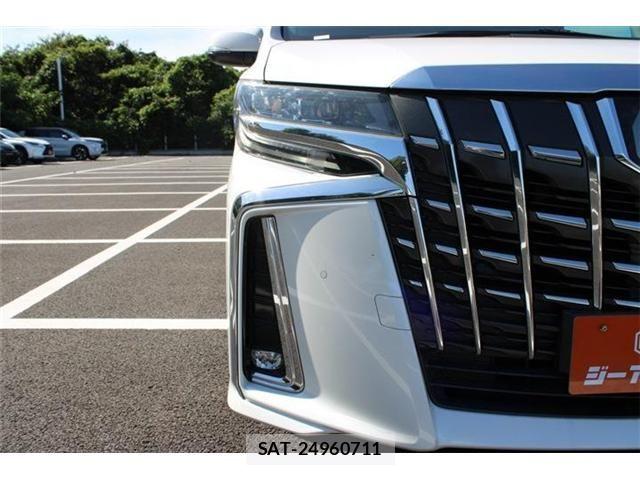 Toyota ALPHARD 2019-11 8848102-16
