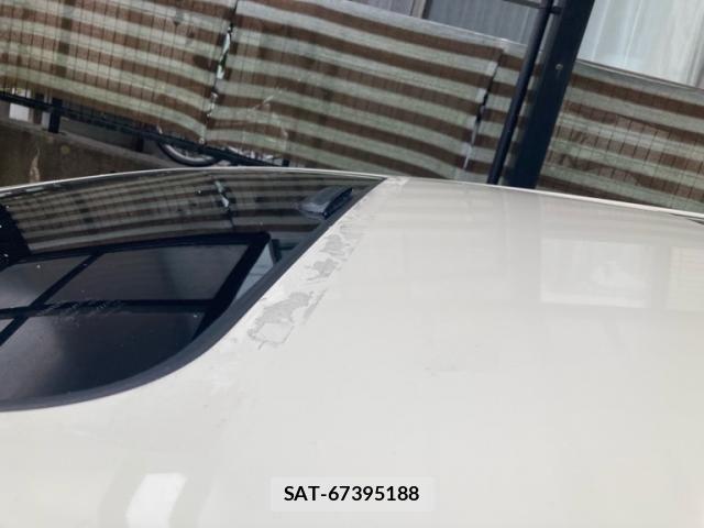 Toyota ALPHARD 2009-04 8878541-22