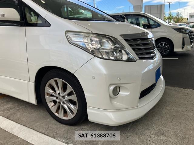 Toyota ALPHARD 2008-10 8883243-2