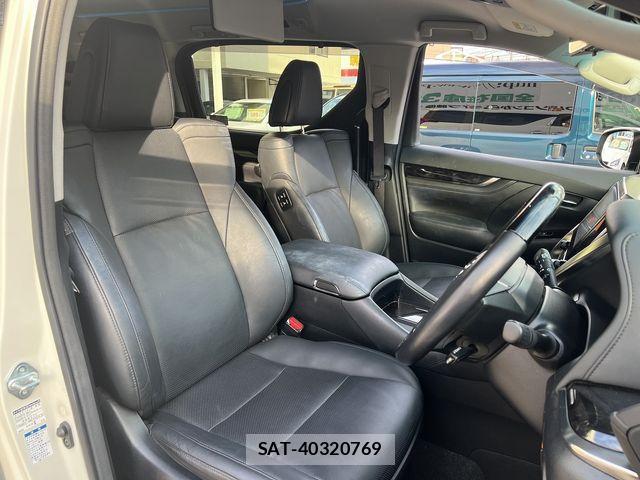 Toyota ALPHARD 2019-06 2076356-19