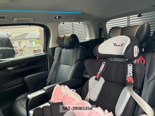 Toyota ALPHARD 2019-09 6008499-8