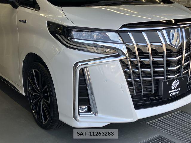 Toyota ALPHARD 2018-09 6790686-26