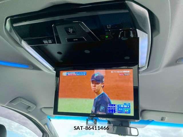 Toyota ALPHARD 2018-09 6813531-10