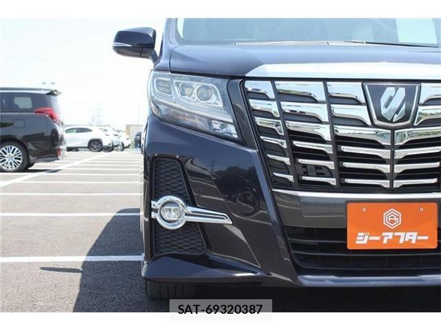 Toyota ALPHARD 2017-03 6987328-20