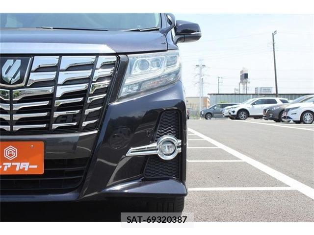 Toyota ALPHARD 2017-03 6987328-21