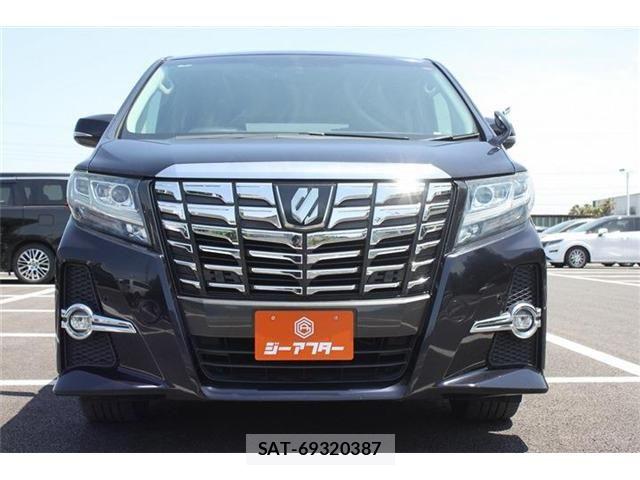 Toyota ALPHARD 2017-03 6987328-6